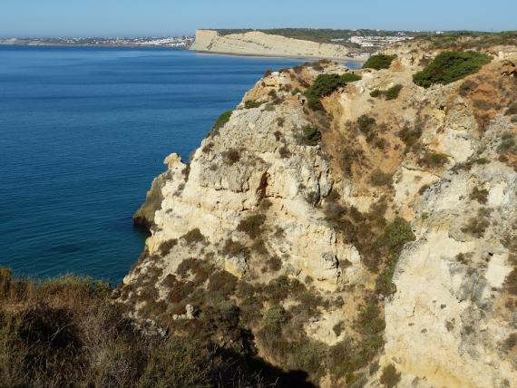 Linguistic and Translation Services in Algarve
