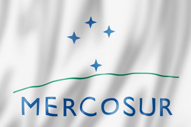 Tudo o que precisa de saber sobre o Mercosul e a sua tradução multilingue Tudo o que precisa de saber sobre o Mercosul e a sua tradução multilingue